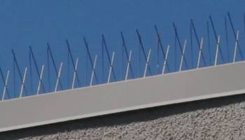 Bird Nesting Control Tips that Work