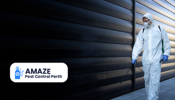 How to Do Your Own Winter Pest Control (Winter Pest Control Tips)